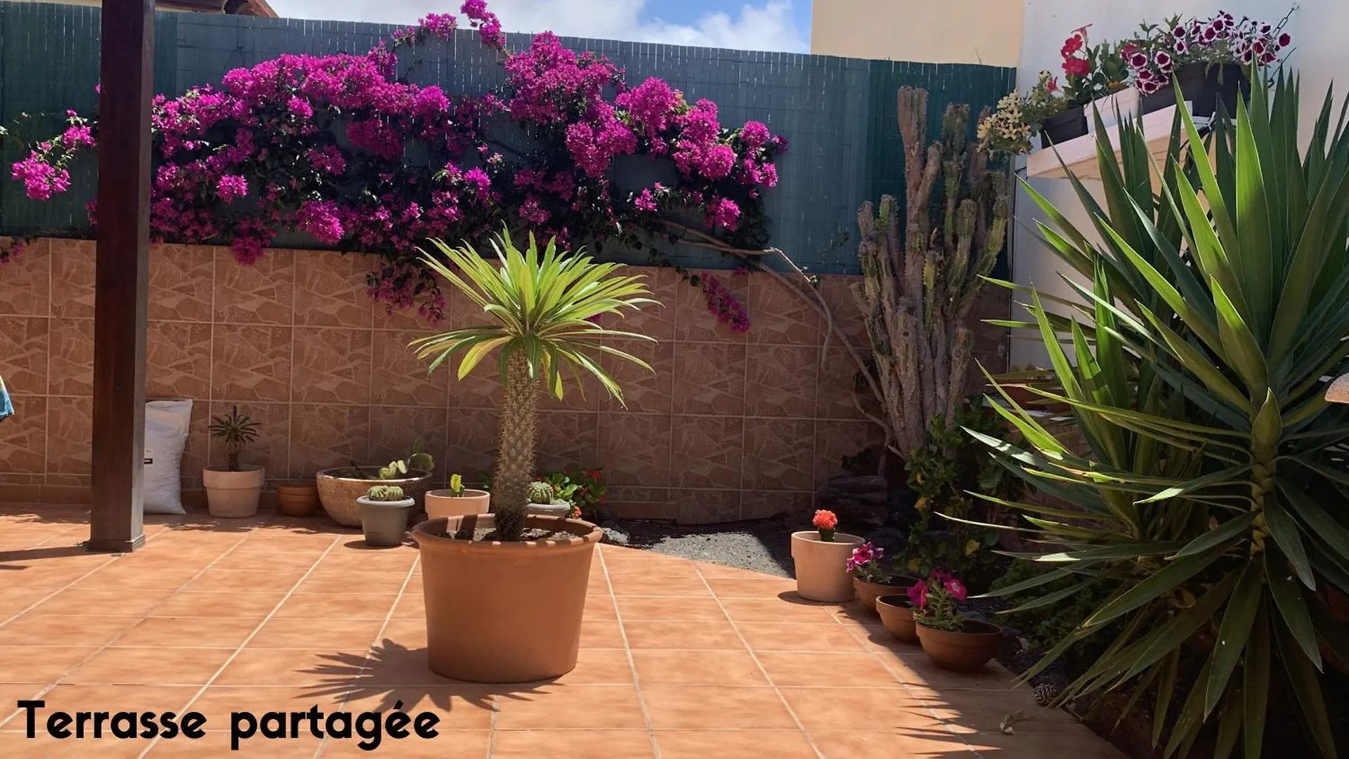 Bedroom With Shared Bathroom And Swimming Pool Corralejo Španělsko