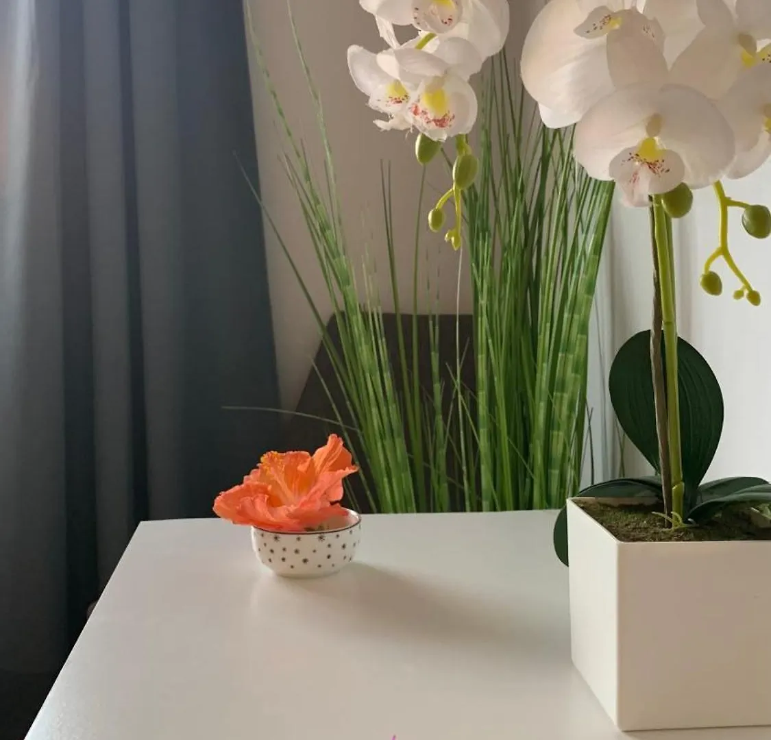 Bed & Breakfast Bedroom With Shared Bathroom And Swimming Pool Corralejo